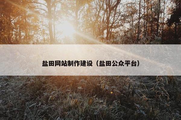 盐田网站制作建设（盐田公众平台）