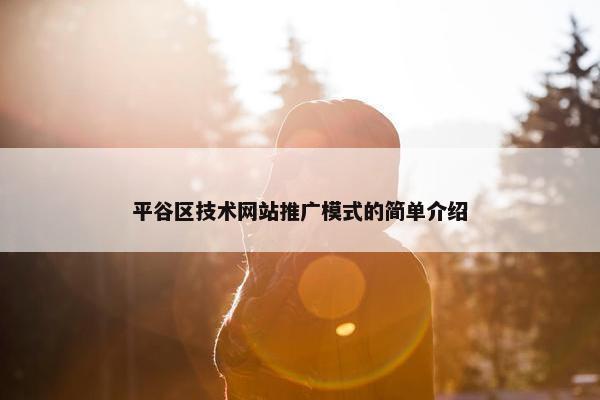 平谷区技术网站推广模式的简单介绍