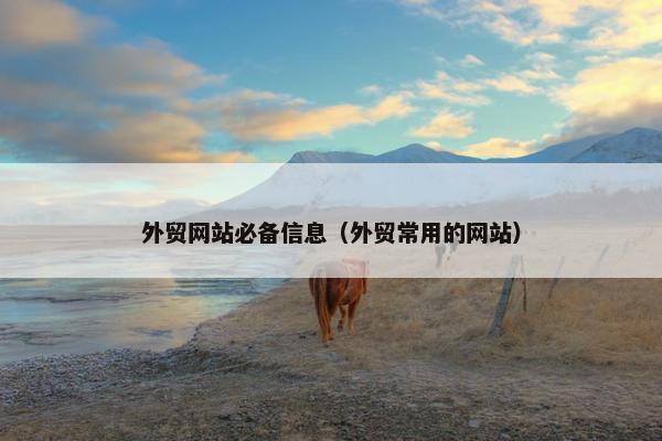 外贸网站必备信息（外贸常用的网站）