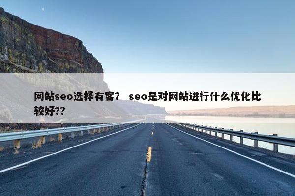 网站seo选择有客？ seo是对网站进行什么优化比较好?？