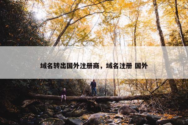 域名转出国外注册商，域名注册 国外