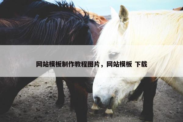 网站模板制作教程图片，网站模板 下载