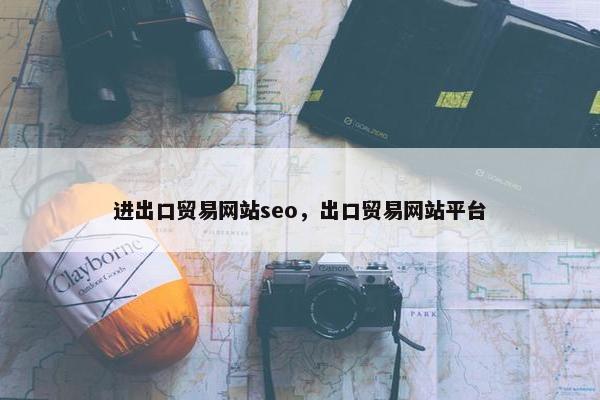 进出口贸易网站seo，出口贸易网站平台