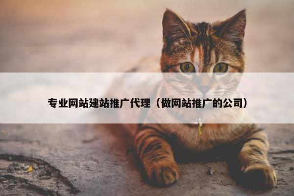 专业网站建站推广代理（做网站推广的公司）