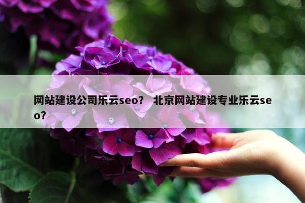 网站建设公司乐云seo？ 北京网站建设专业乐云seo？