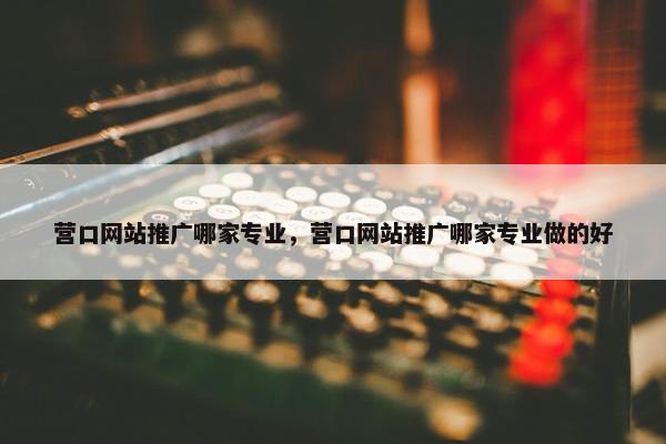 营口网站推广哪家专业，营口网站推广哪家专业做的好