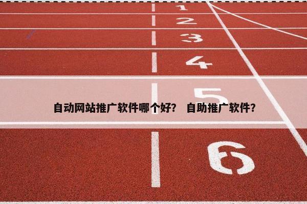 自动网站推广软件哪个好？ 自助推广软件？