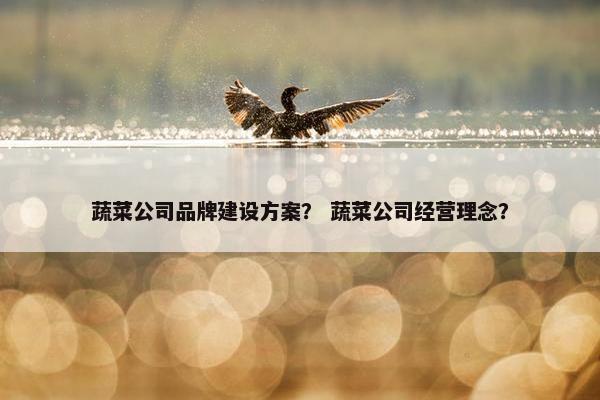 蔬菜公司品牌建设方案？ 蔬菜公司经营理念？