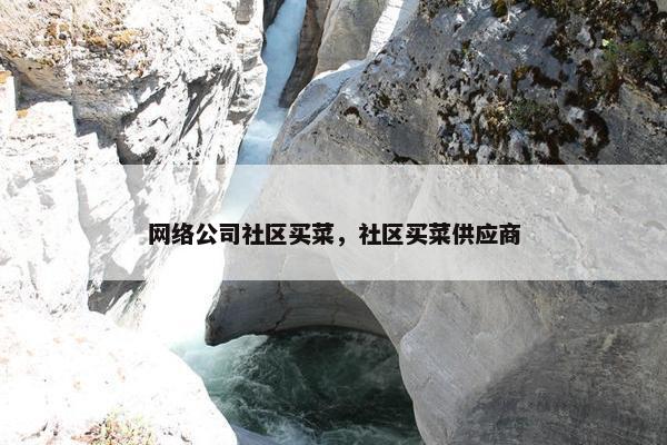 网络公司社区买菜，社区买菜供应商