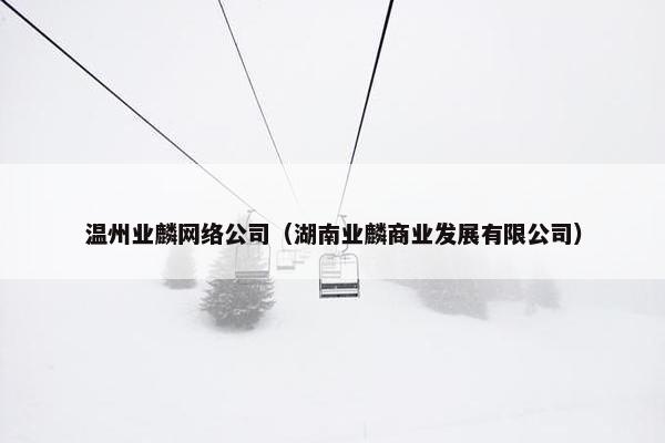 温州业麟网络公司（湖南业麟商业发展有限公司）