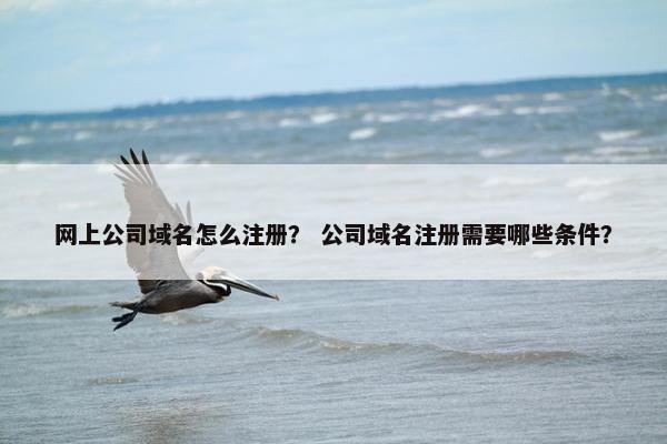 网上公司域名怎么注册？ 公司域名注册需要哪些条件？