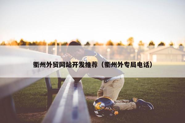衢州外贸网站开发推荐（衢州外专局电话）