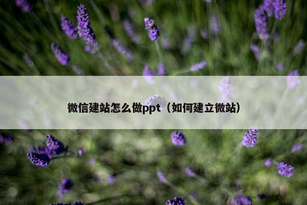 微信建站怎么做ppt（如何建立微站）