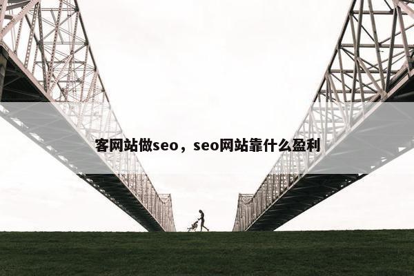 客网站做seo，seo网站靠什么盈利