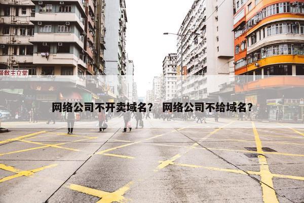 网络公司不开卖域名？ 网络公司不给域名？