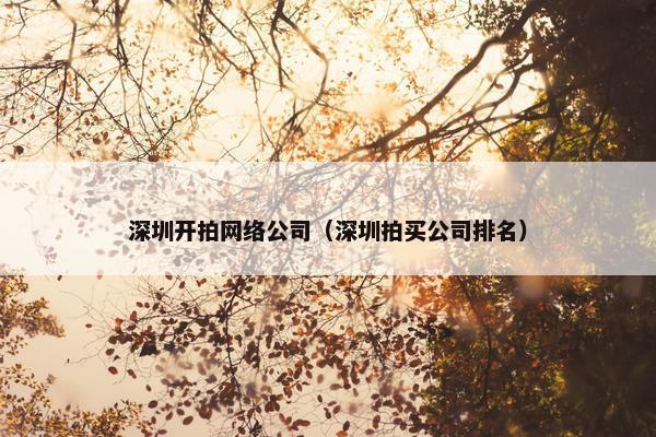 深圳开拍网络公司（深圳拍买公司排名）