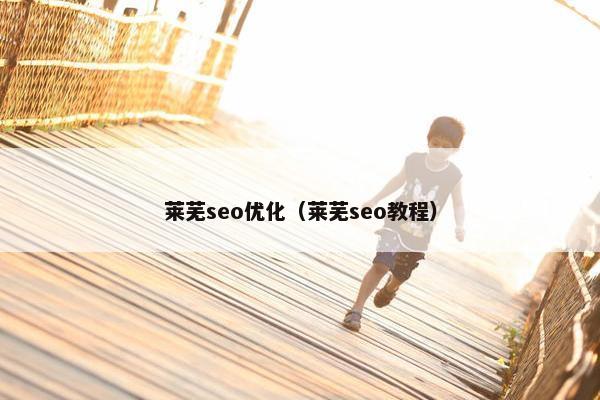 莱芜seo优化（莱芜seo教程）