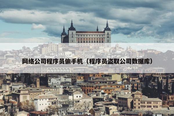 网络公司程序员偷手机（程序员盗取公司数据库）