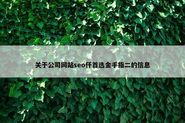 关于公司网站seo仟首选金手指二的信息