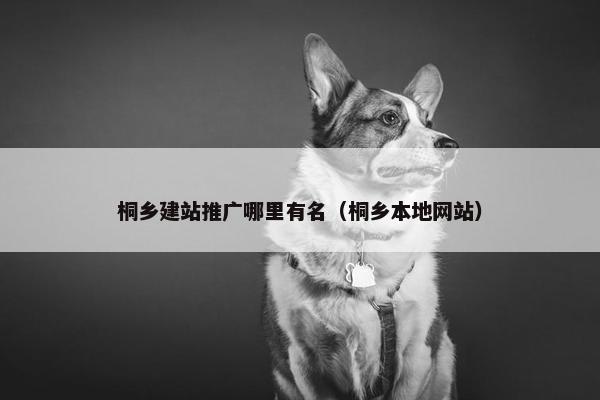桐乡建站推广哪里有名（桐乡本地网站）