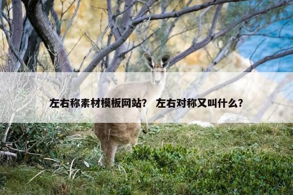 左右称素材模板网站？ 左右对称又叫什么？