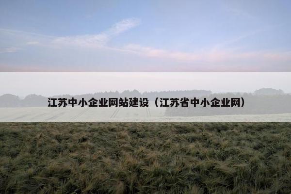 江苏中小企业网站建设（江苏省中小企业网）