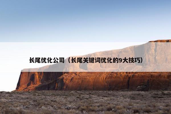 长尾优化公司（长尾关键词优化的9大技巧）