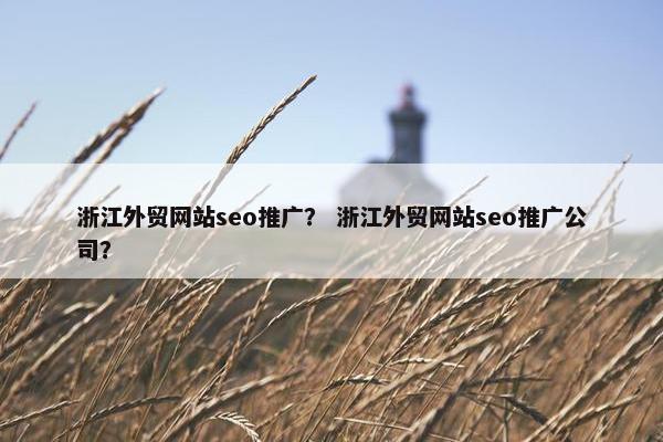 浙江外贸网站seo推广？ 浙江外贸网站seo推广公司？