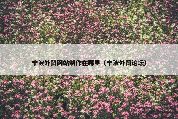 宁波外贸网站制作在哪里（宁波外贸论坛）