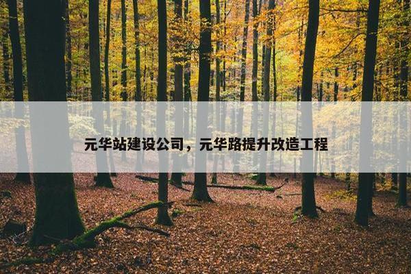 元华站建设公司，元华路提升改造工程