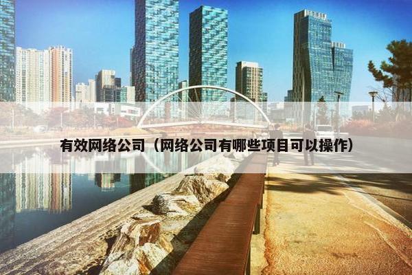有效网络公司（网络公司有哪些项目可以操作）