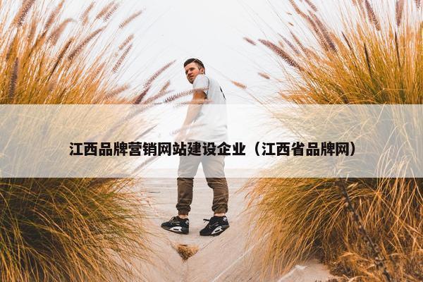 江西品牌营销网站建设企业（江西省品牌网）