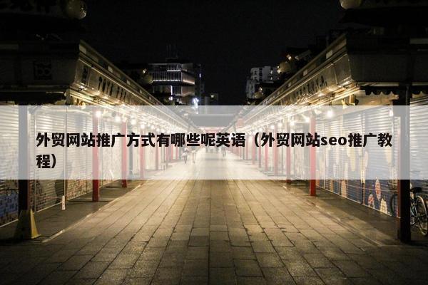 外贸网站推广方式有哪些呢英语（外贸网站seo推广教程）