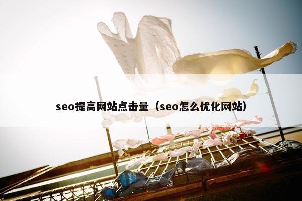 seo提高网站点击量（seo怎么优化网站）