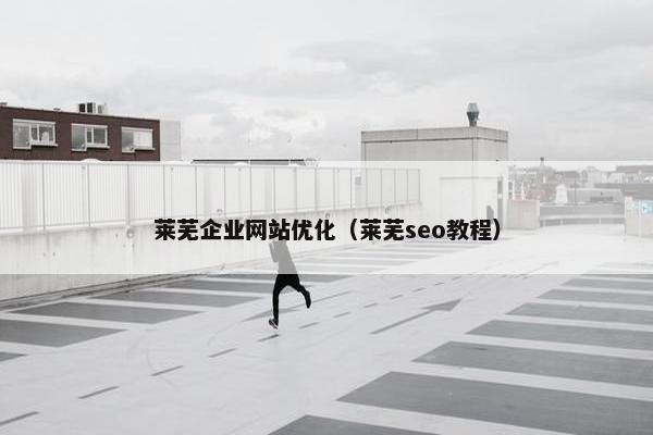莱芜企业网站优化（莱芜seo教程）