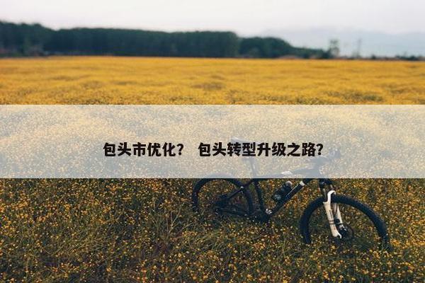 包头市优化？ 包头转型升级之路？