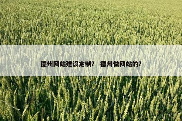 德州网站建设定制？ 德州做网站的？