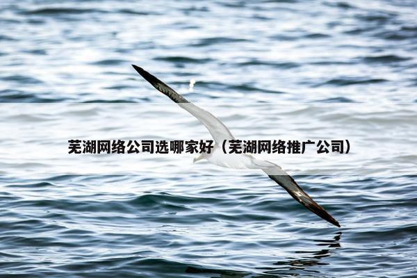 芜湖网络公司选哪家好（芜湖网络推广公司）