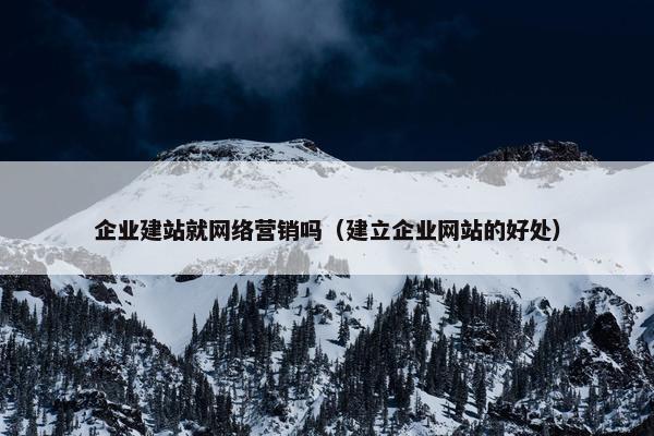 企业建站就网络营销吗（建立企业网站的好处）