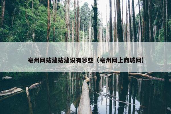 亳州网站建站建设有哪些（亳州网上商城网）