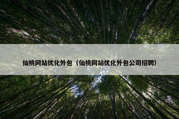 仙桃网站优化外包（仙桃网站优化外包公司招聘）