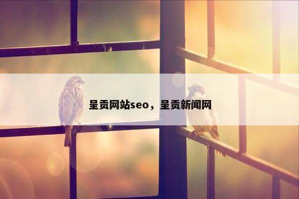 呈贡网站seo，呈贡新闻网