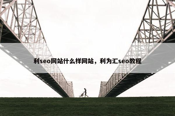 利seo网站什么样网站，利为汇seo教程