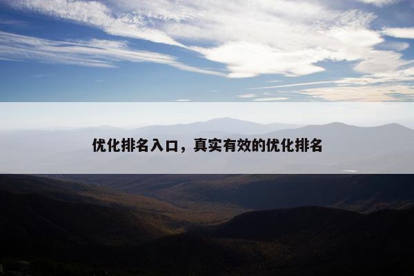优化排名入口，真实有效的优化排名