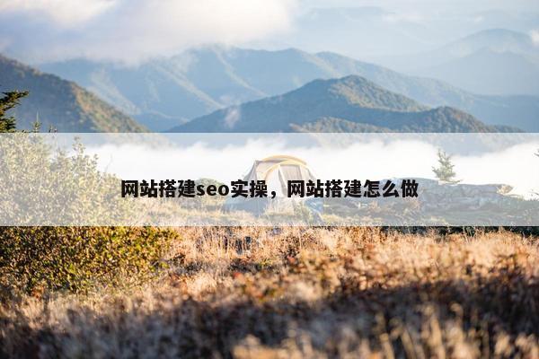网站搭建seo实操，网站搭建怎么做
