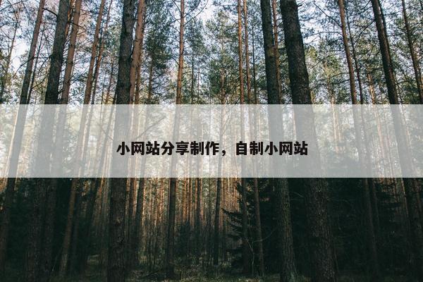 小网站分享制作，自制小网站