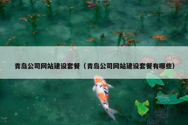 青岛公司网站建设套餐（青岛公司网站建设套餐有哪些）