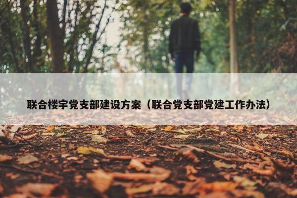 联合楼宇党支部建设方案（联合党支部党建工作办法）