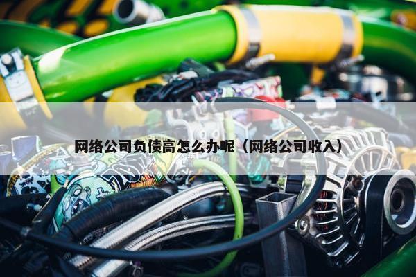 网络公司负债高怎么办呢（网络公司收入）