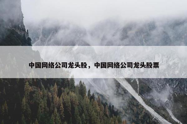 中国网络公司龙头股，中国网络公司龙头股票